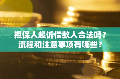 武汉担保人起诉借款人合法吗？流程和注意事项有哪些？