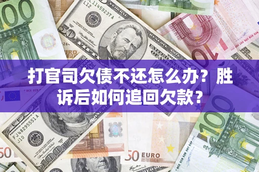 武汉打官司欠债不还怎么办？胜诉后如何追回欠款？
