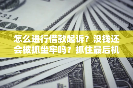武汉怎么进行借款起诉？没钱还会被抓坐牢吗？抓住最后机会！