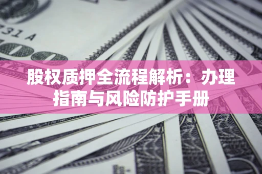 武汉股权质押全流程解析：办理指南与风险防护手册