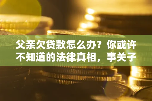 武汉父亲欠贷款怎么办？你或许不知道的法律真相，事关子女未来