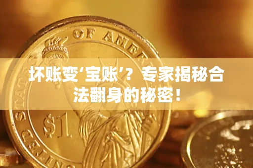 武汉坏账变‘宝账’？专家揭秘合法翻身的秘密！