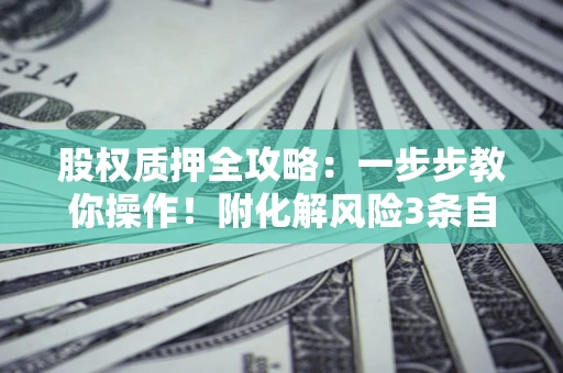 武汉股权质押全攻略：一步步教你操作！附化解风险3条自救法则