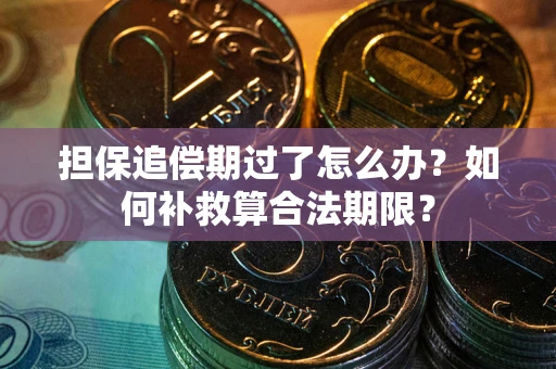武汉担保追偿期过了怎么办？如何补救算合法期限？