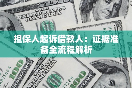 武汉担保人起诉借款人：证据准备全流程解析