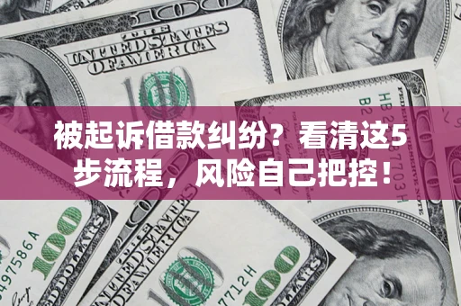 武汉被起诉借款纠纷？看清这5步流程，风险自己把控！