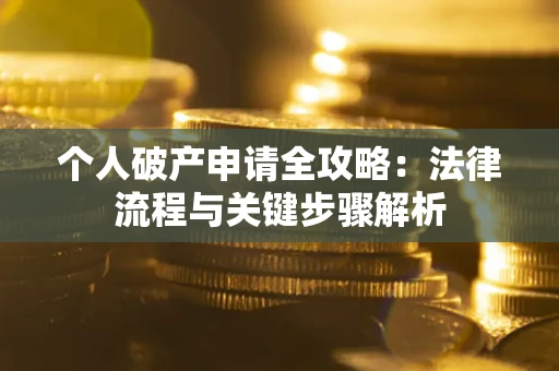武汉个人破产申请全攻略：法律流程与关键步骤解析
