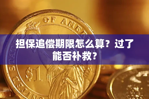 武汉担保追偿期限怎么算？过了能否补救？